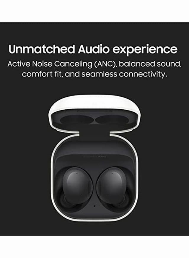 Galaxy Buds 2 Graphite